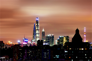 电信与物流合作:上海与印度的双赢局面 电信与物流合作:上海与印度的双赢局面