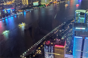 上海的单身男女:挑战与机遇 上海的单身男女:挑战与机遇